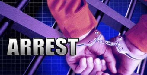 दिल्ली पुलिस का बड़ा एक्शन: अंतरराज्यीय कार चोरी गिरोह का भंडाफोड़, 31 लग्जरी गाड़ियां बरामद